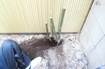 伐採状況 CIMG1435